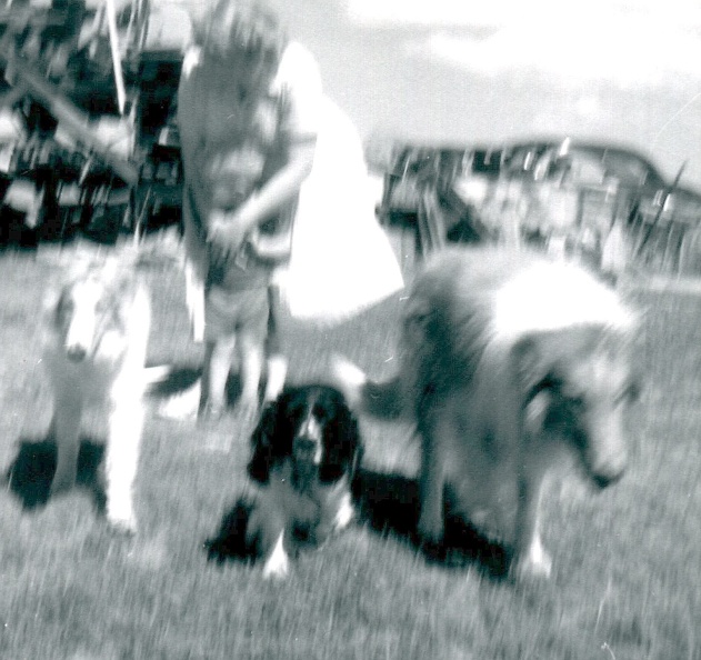 ralph_mommy__and__farm_dogs_at_lomgmont_co_jul_1958__Number__4__poor_focus_.jpg